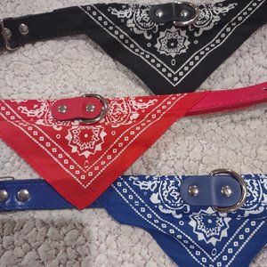 Dog collars set of three